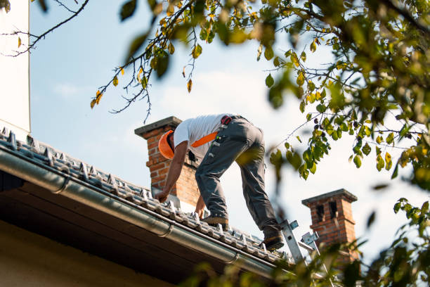 Best Local Roofing Companies  in Forest City, NC